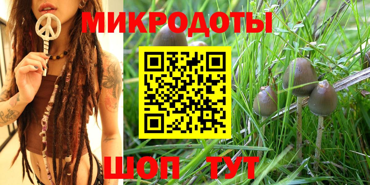 Сыктывкар  Галлюциногенные грибы Cubensis  Вход с VPN 